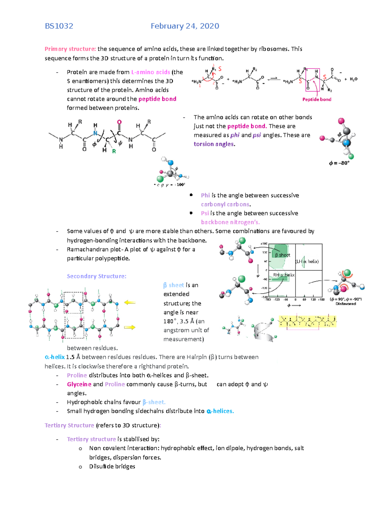 Protein structure notes BS1032 February 24, 2020 Primary structure