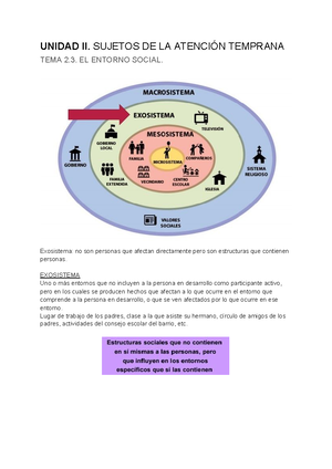 Tema 4. Niveles De Prevención En Atención Temprana - TEMA 4. NIVELES DE ...