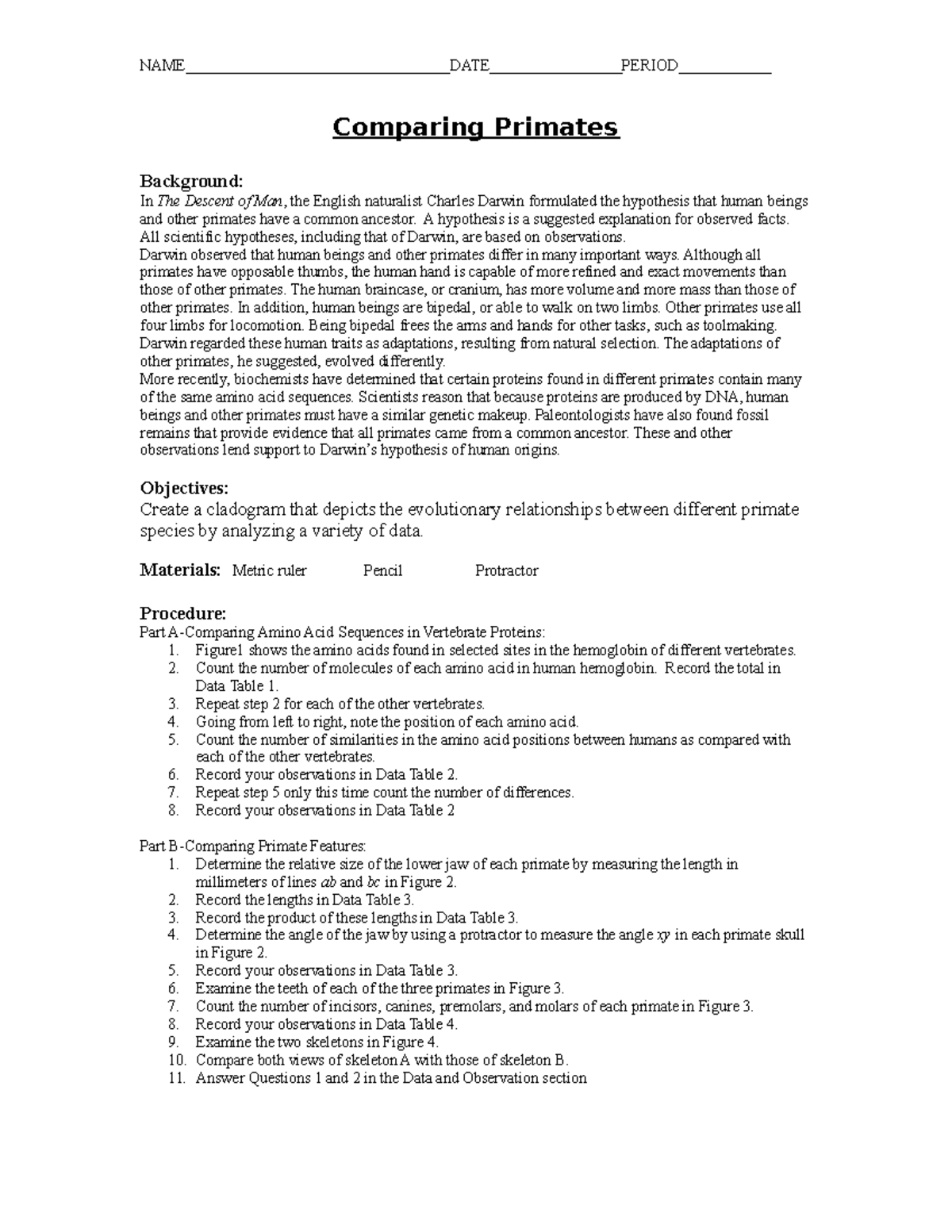 Comparing Primates EA 13 - Comparing Primates Background: In The ...