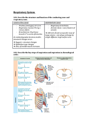 [Solved] The Nasal Cavity Pharynx And Larynx Constitute The Select One ...