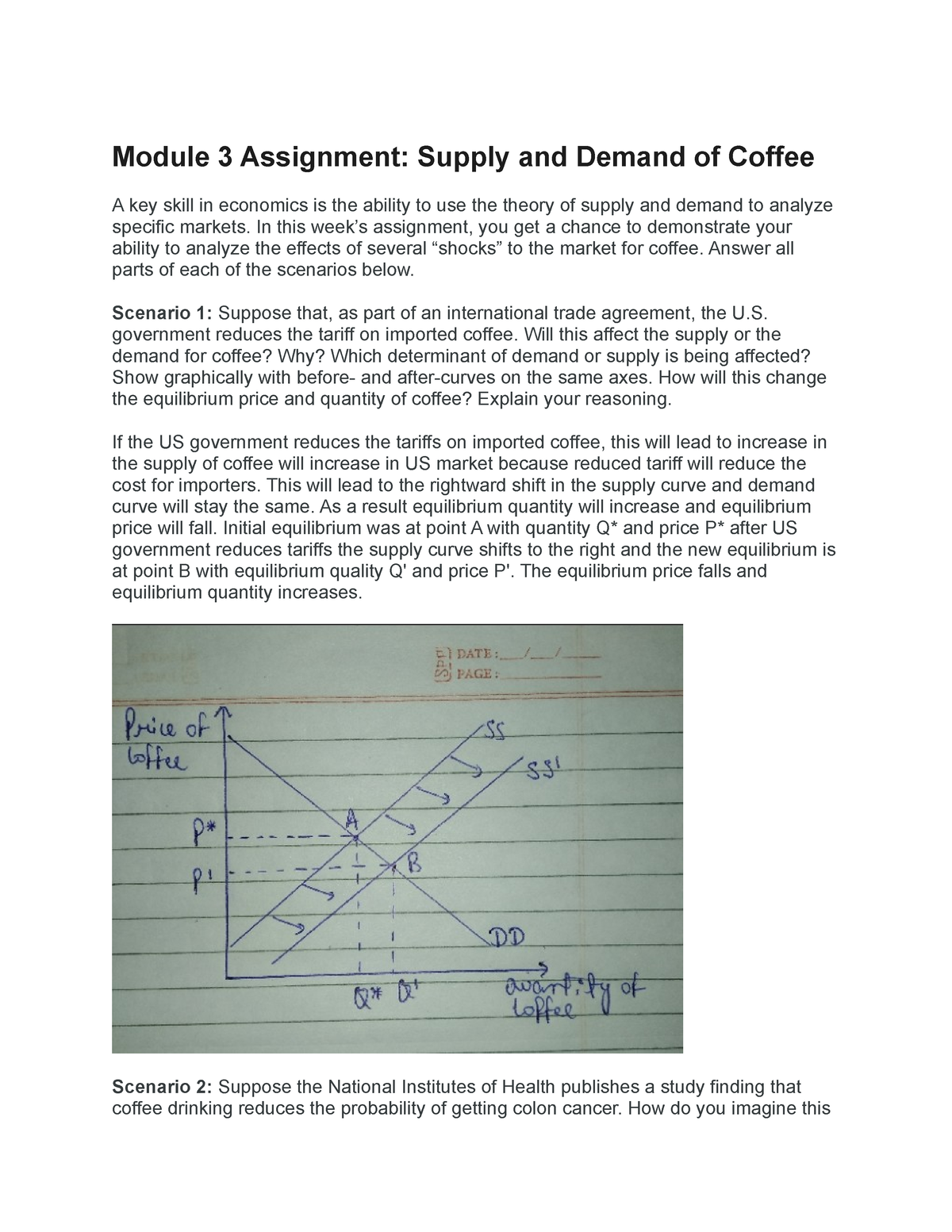 supply and demand of coffee assignment