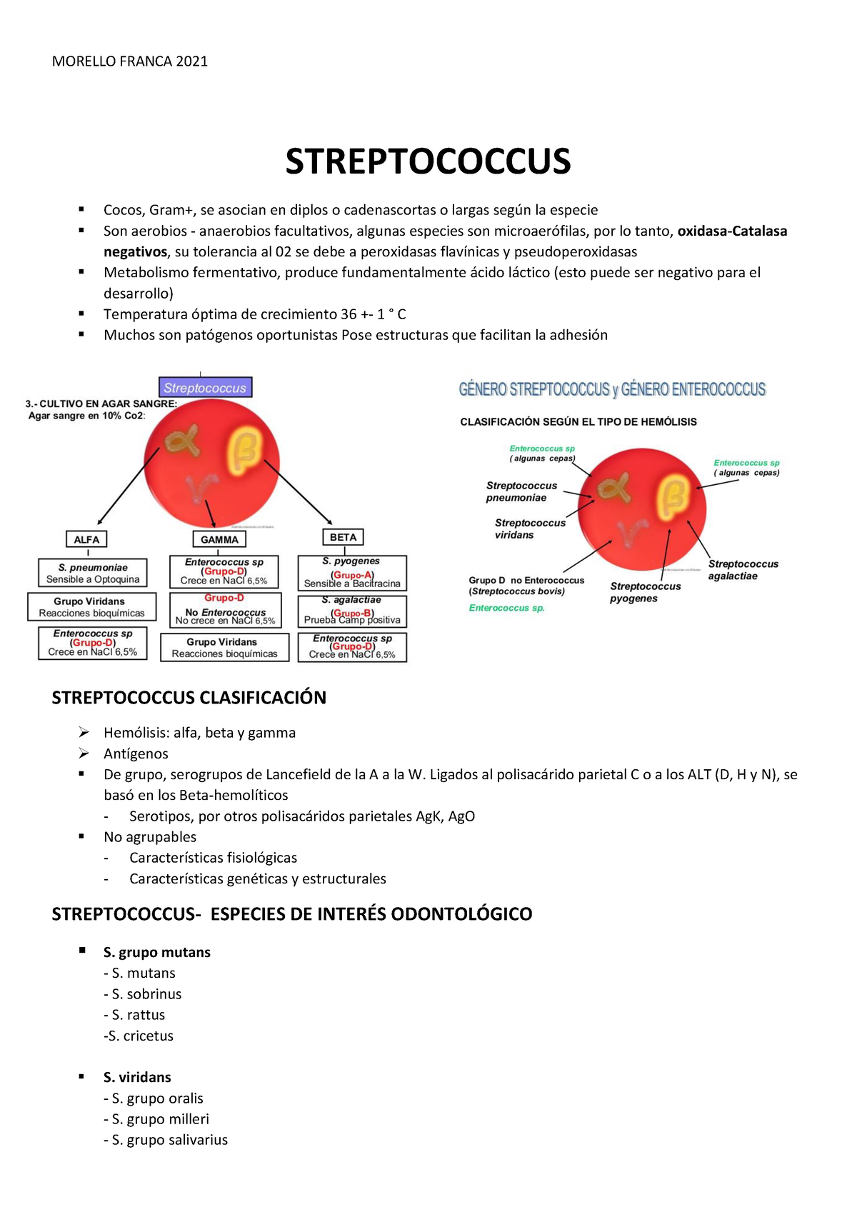 Teórico Streptoccocus - STREPTOCOCCUS Cocos, Gram+, Se Asocian En ...