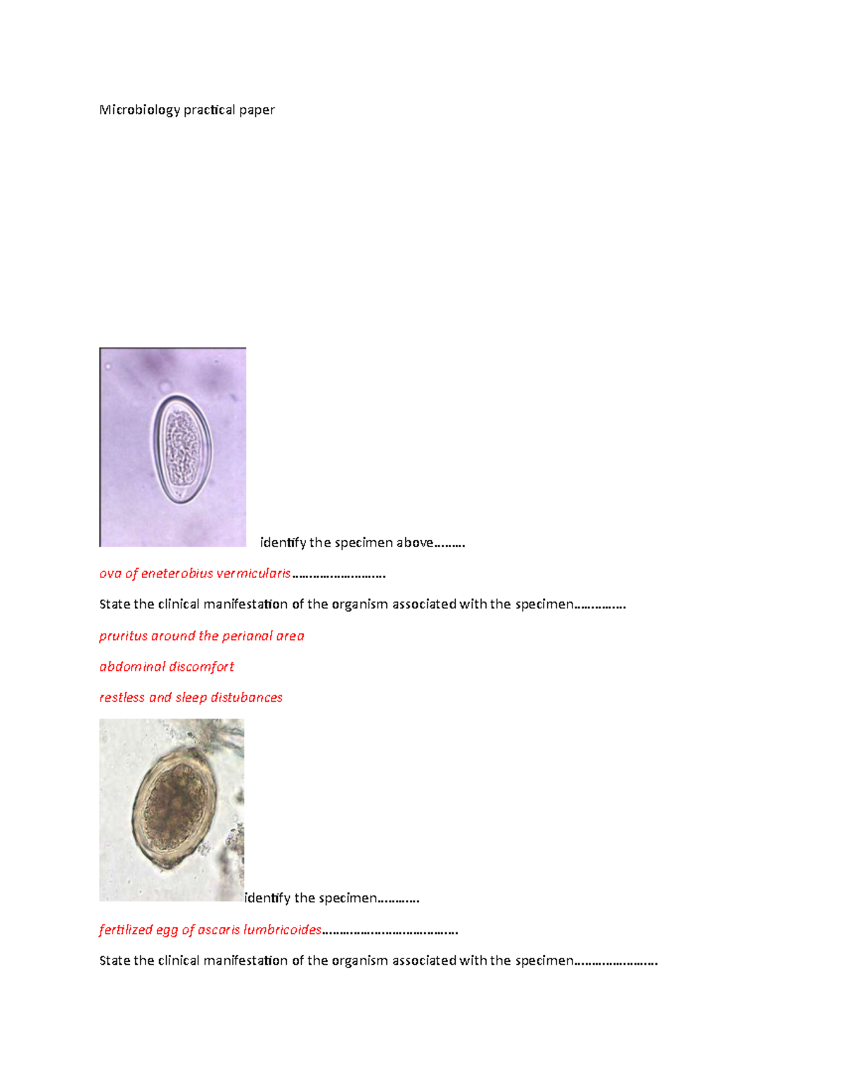 Microbiology practical paper Microbiology practical paper identify