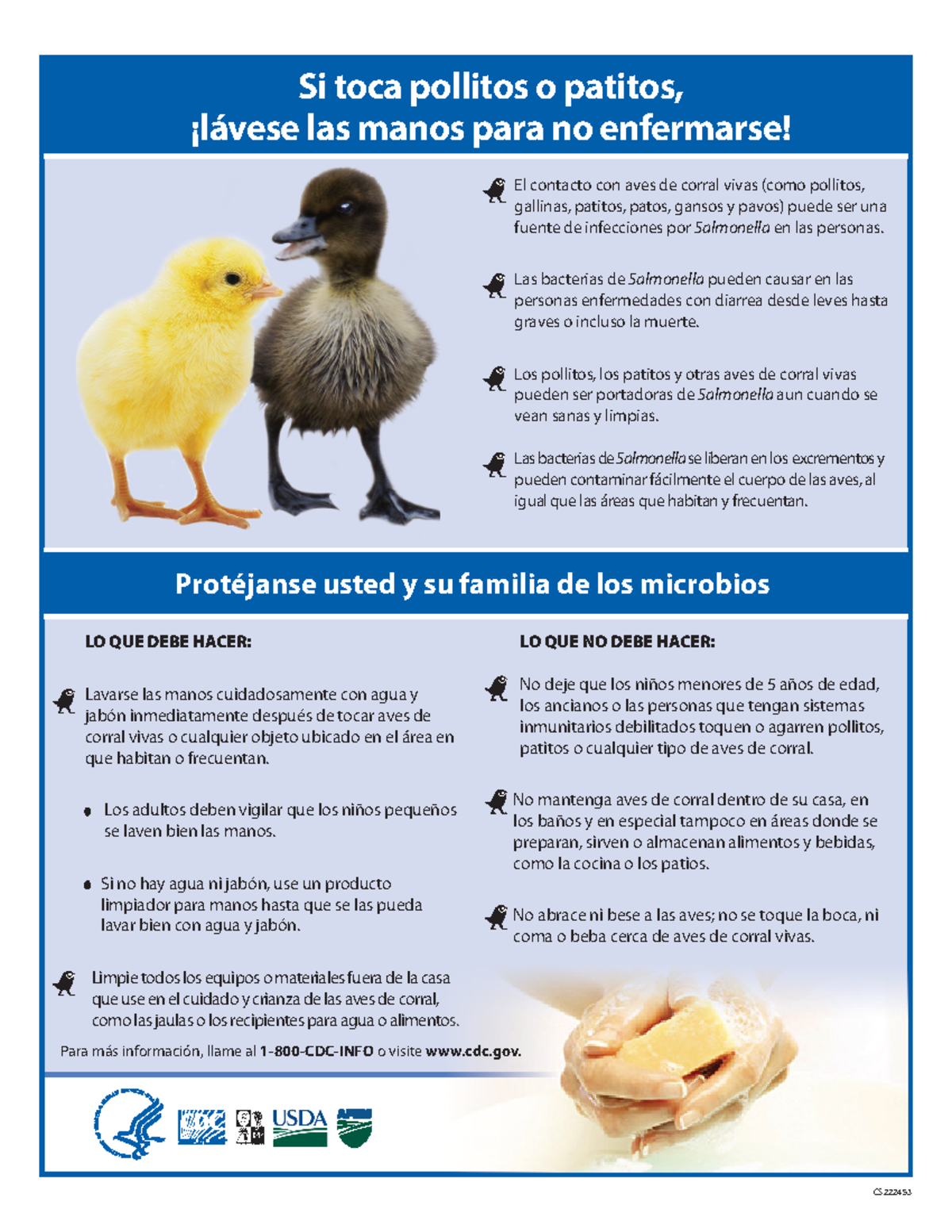 Salmonella baby poultry spanish CS LO QUE DEBE HACER Lavarse las