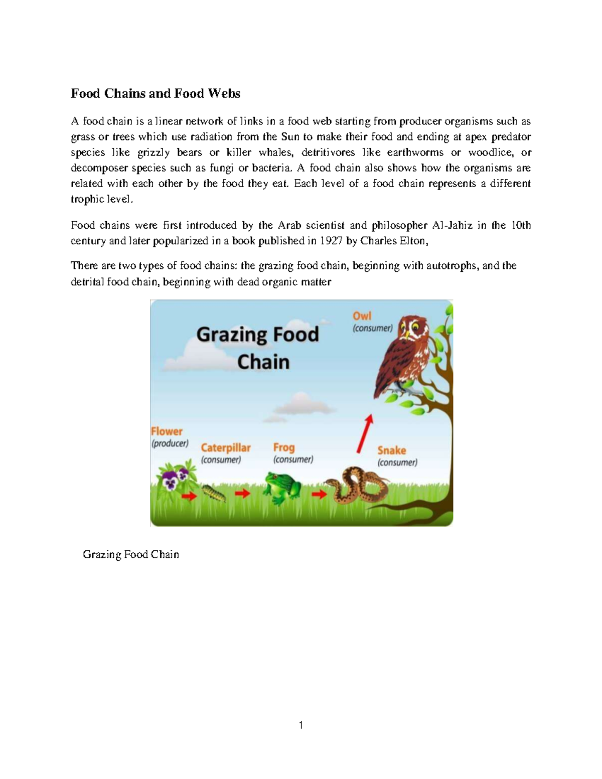 UNIT 2 - Ecosystem - Food Chains And Food Webs - Food Chains And Food ...