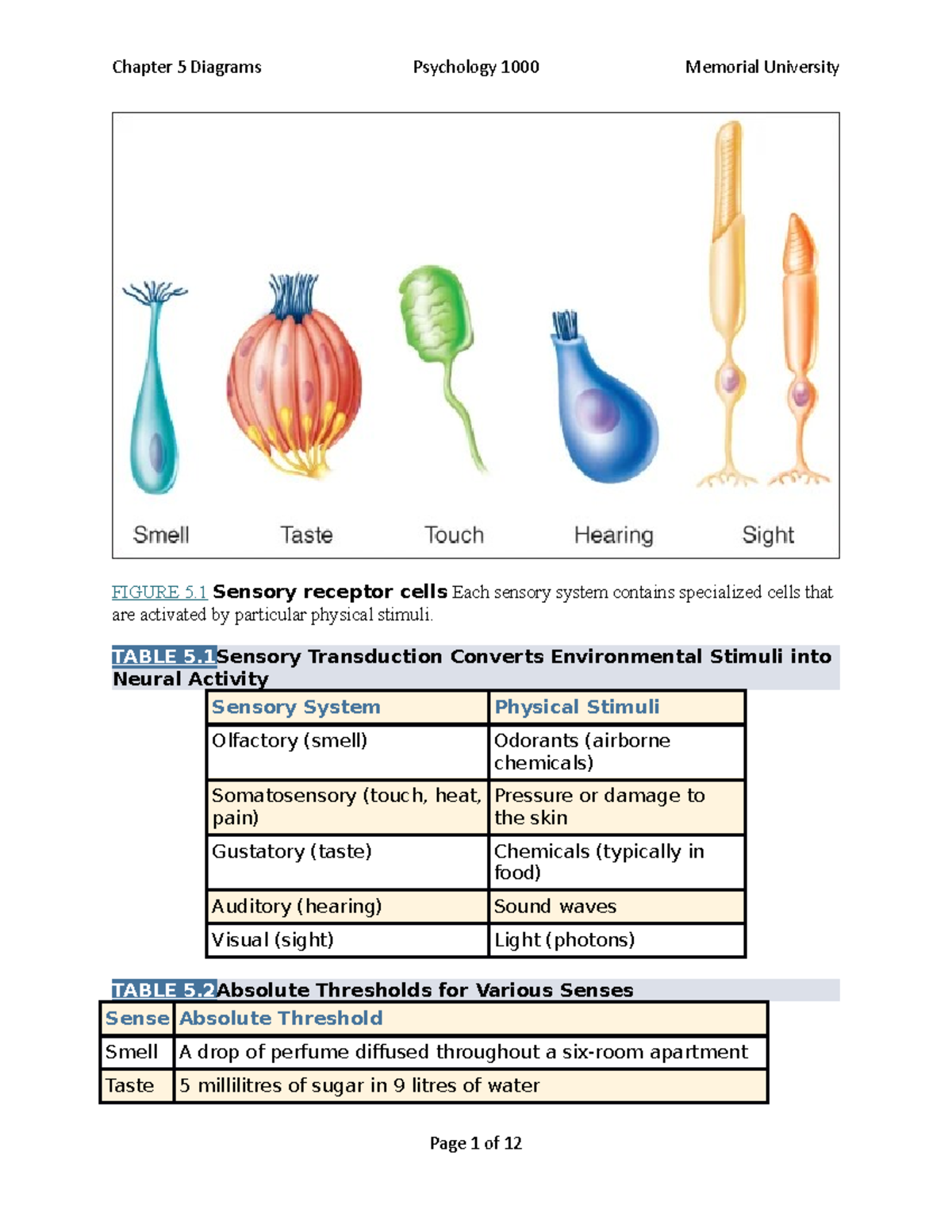 Chapter 5 Diagrams - FIGURE 5 Sensory receptor cells Each sensory ...
