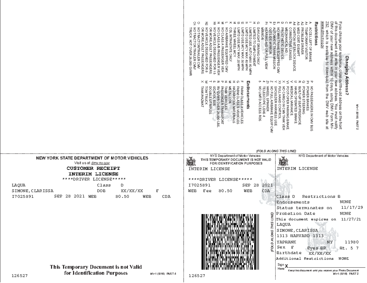 temporary-photo-document-nys-department-of-motor-vehicles-nys