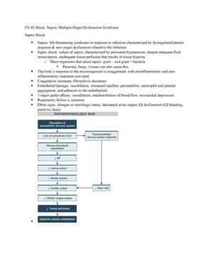 Ch 28 Med Surg Lewis - Lewis Med Surg Notes – Chapter 28 Supporting ...