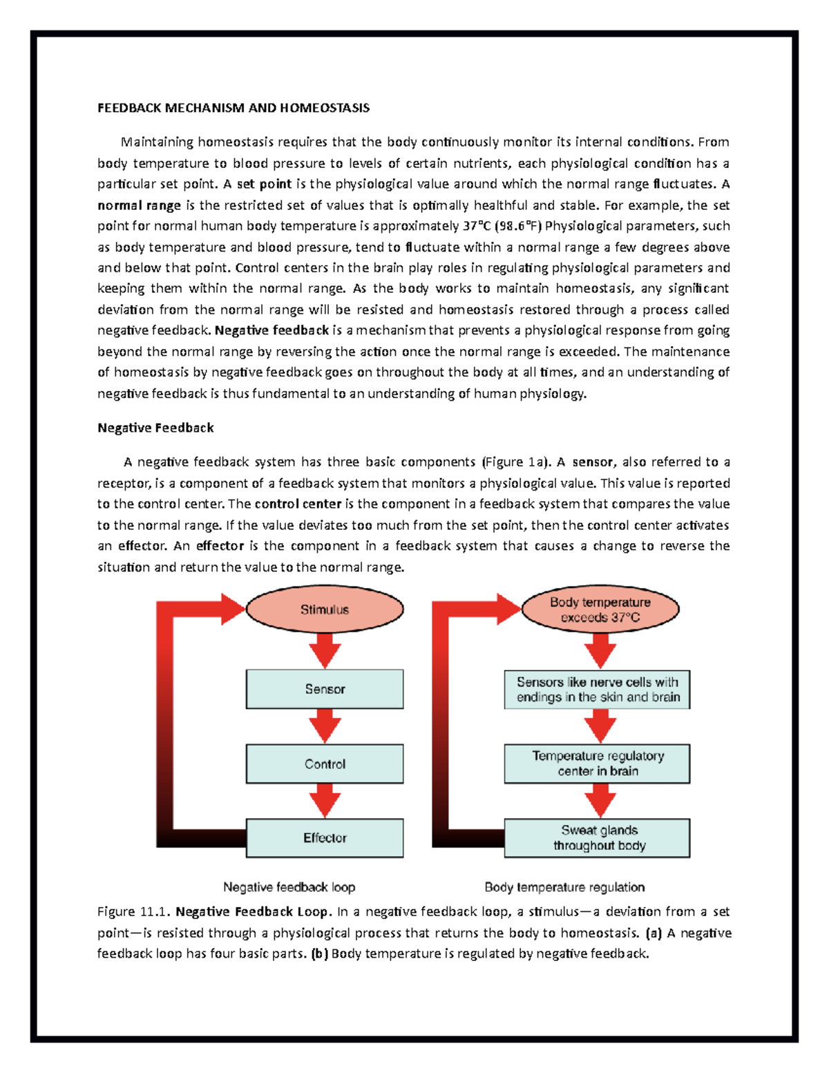 Biology Notes Feedback- Mechanism-AND- Homeostasis - FEEDBACK MECHANISM ...