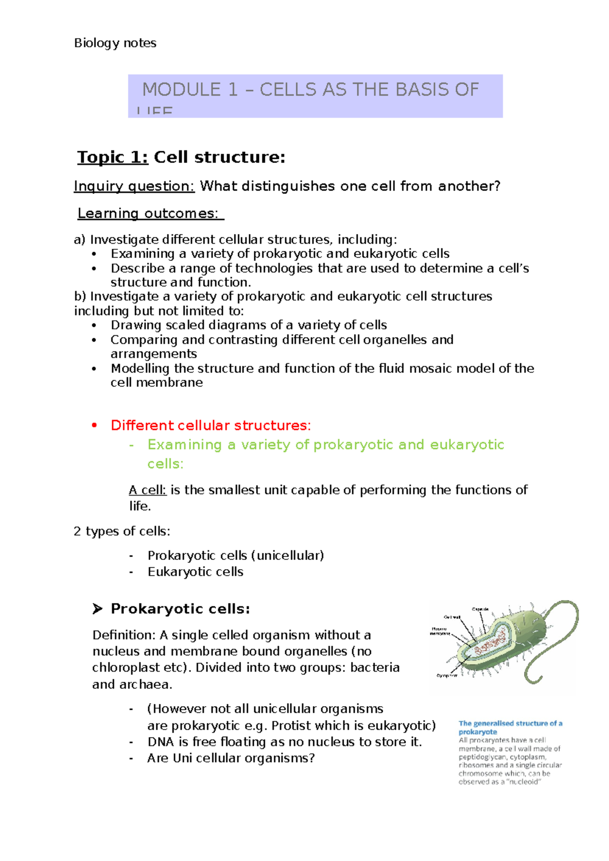 Module 1 notes - Cells as the basis of life - Topic 1: Cell structure ...