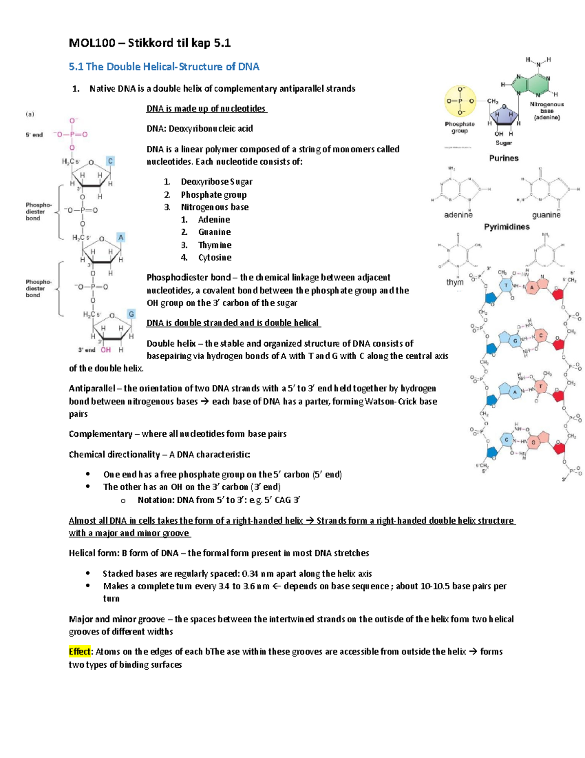 MOL100 5.1 The Double Helical-Structure of DNA: Stikkord - MOL100 ...