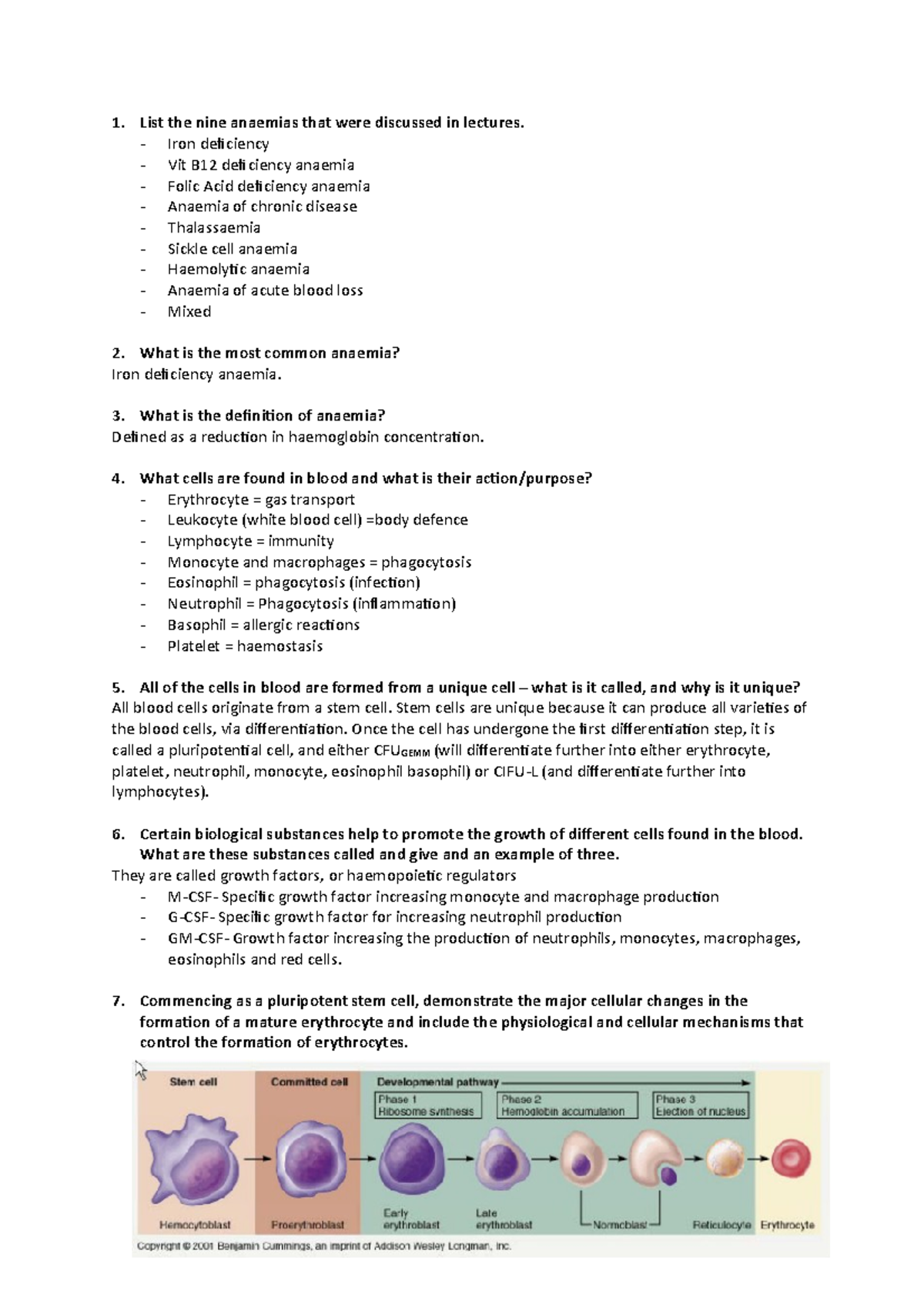 Sample/practice exam 2013, questions - Haematology review - 1. List the ...