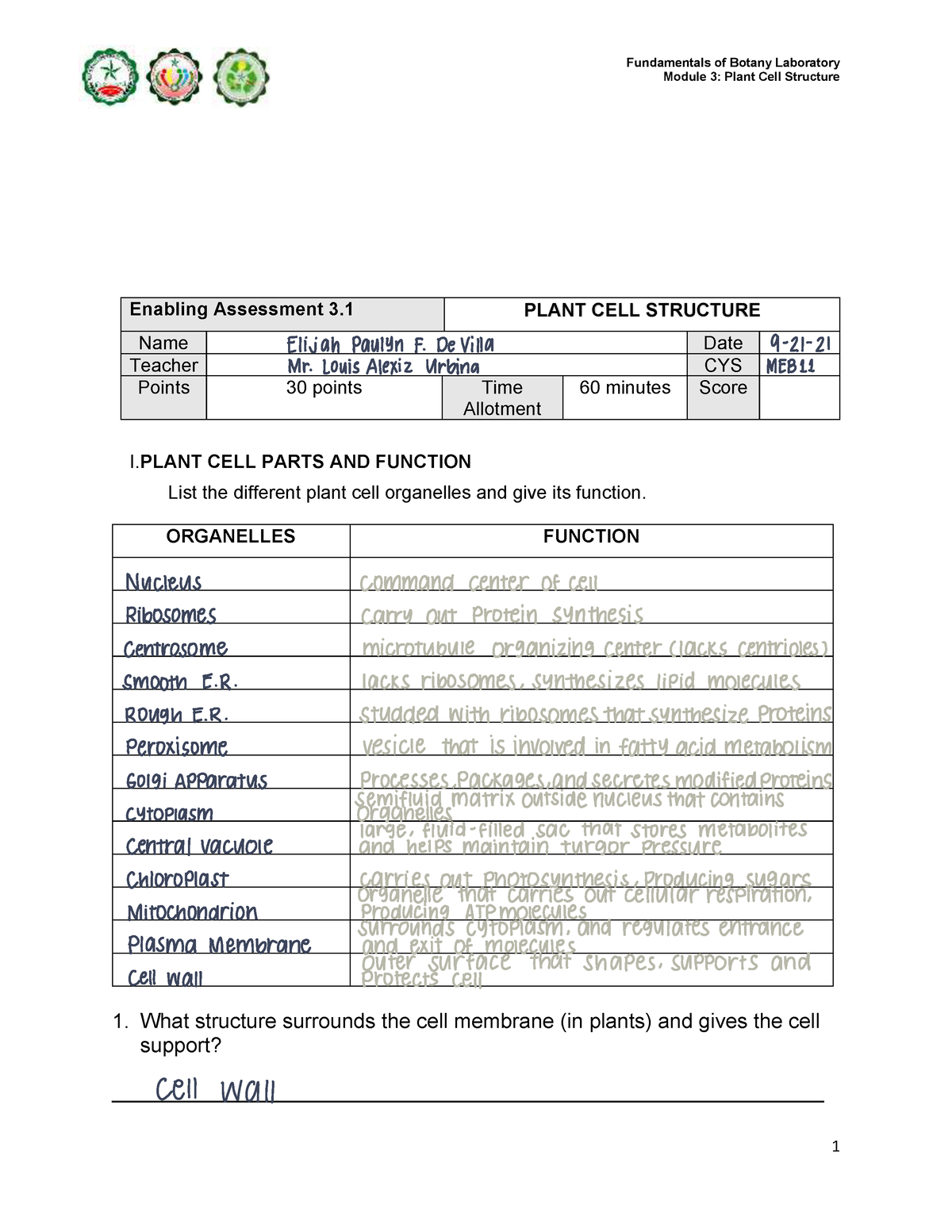 plant cell parts and functions list