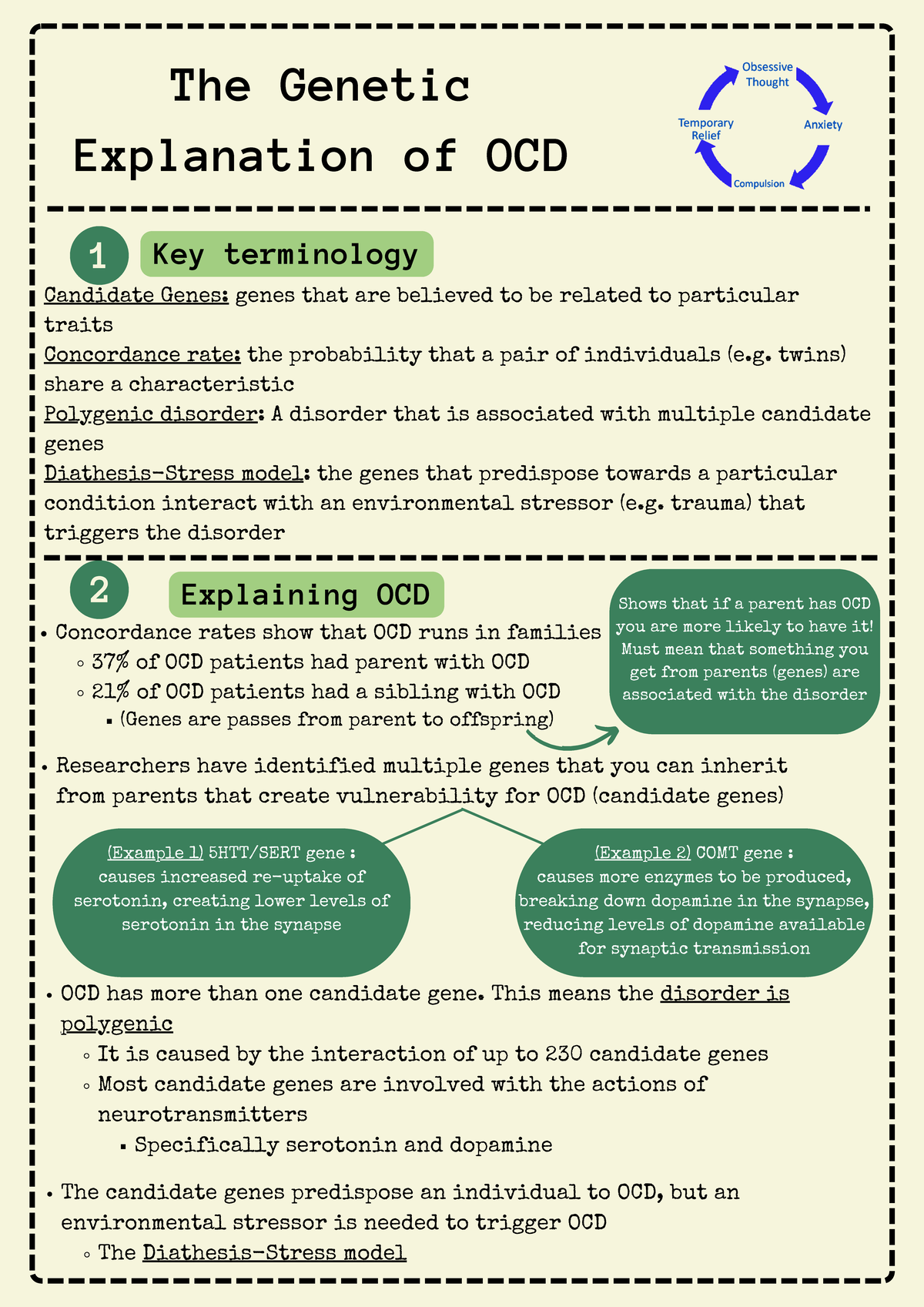 The genetic explanation of OCD Poster - 1 2 Candidate Genes: genes that ...