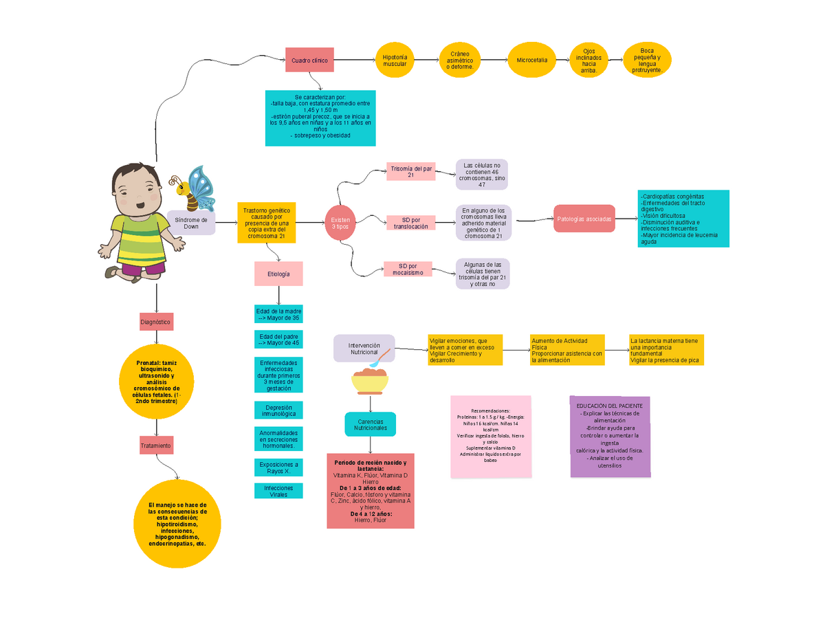 Sindrome De Down Mapa Conceptual Generalidades Existen Tipos Trastorno Gen Tico Causado Por