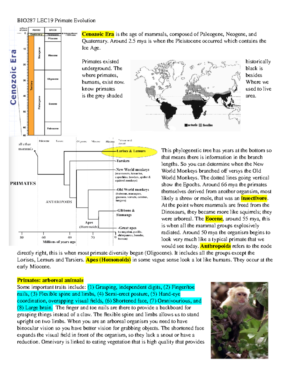 BIO287 LEC19 Outline - Lecture notes 19 - BIO287 LEC19 Primate ...