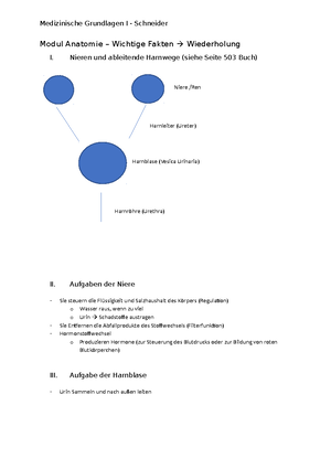 Med GES 1 - Medizinische Grundlagen I Blut, Immunsysteme, Lymphatische ...