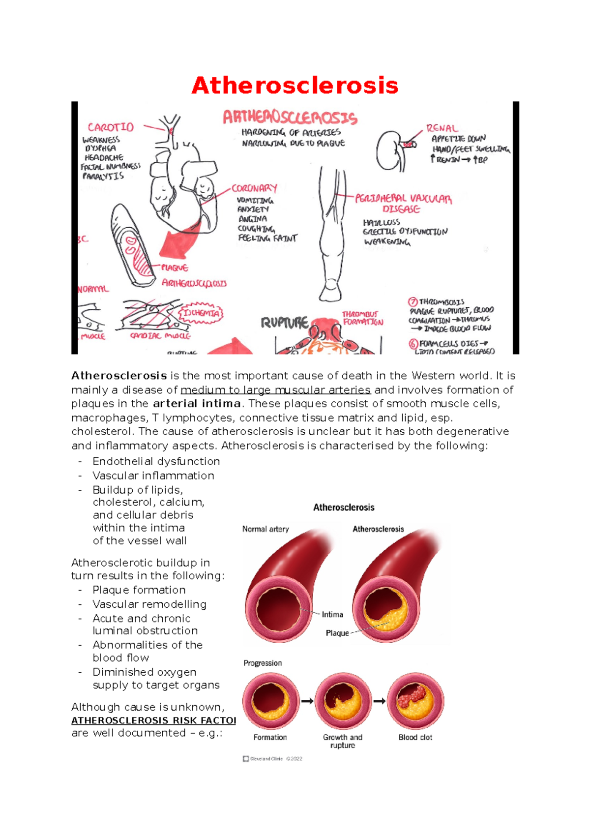 Atherosclerosis - heart disease notes - Atherosclerosis Atherosclerosis ...