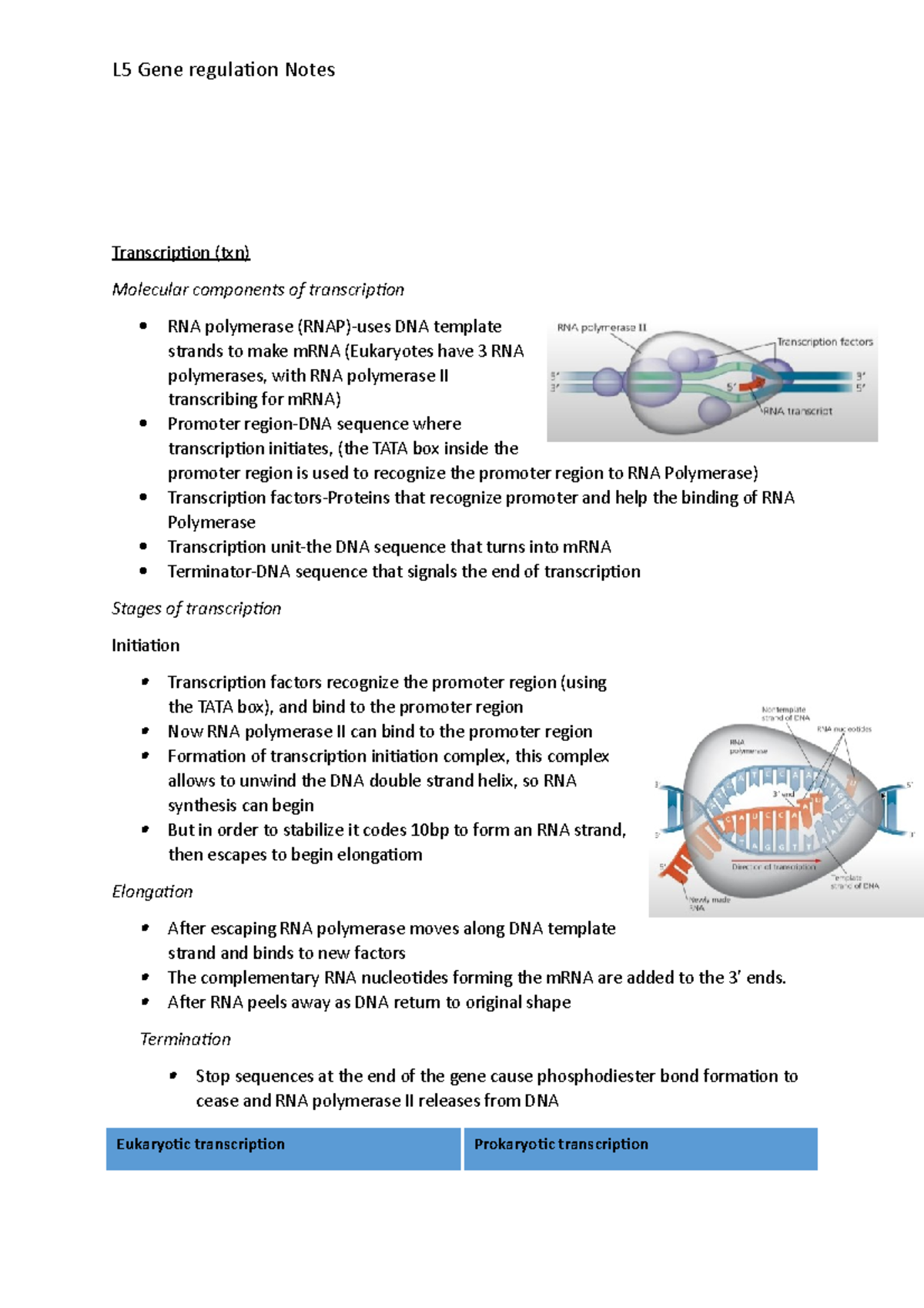 L6 Gene regulation Lecture notes 1 Transcription (txn) Molecular