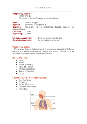 Handbook of Interventional Radiologic Procedures - metal stents. It is ...
