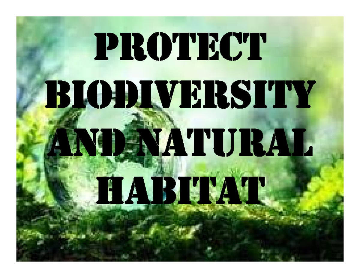 Protect Biodiversity And Natural Habitat - PROtect BIODIVeRsItY AANNDD ...