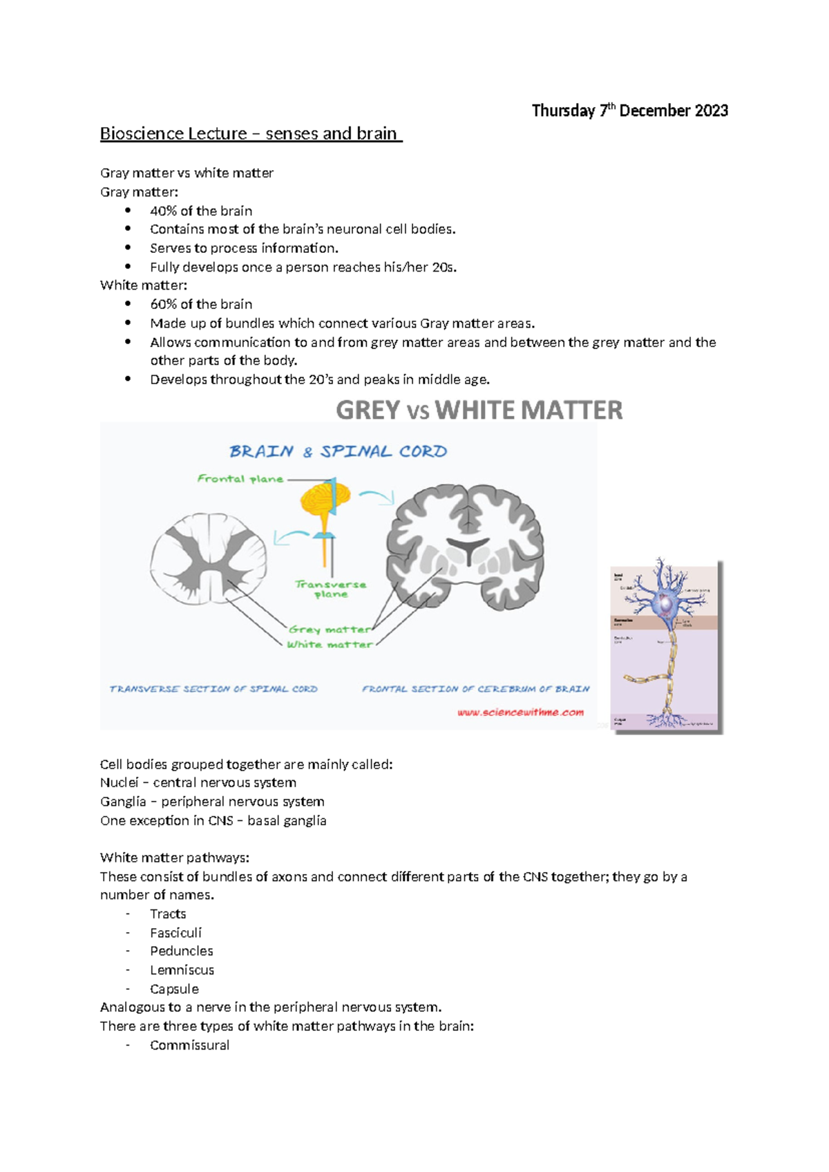 The brain - Thursday 7th December 2023 Bioscience Lecture – senses and ...