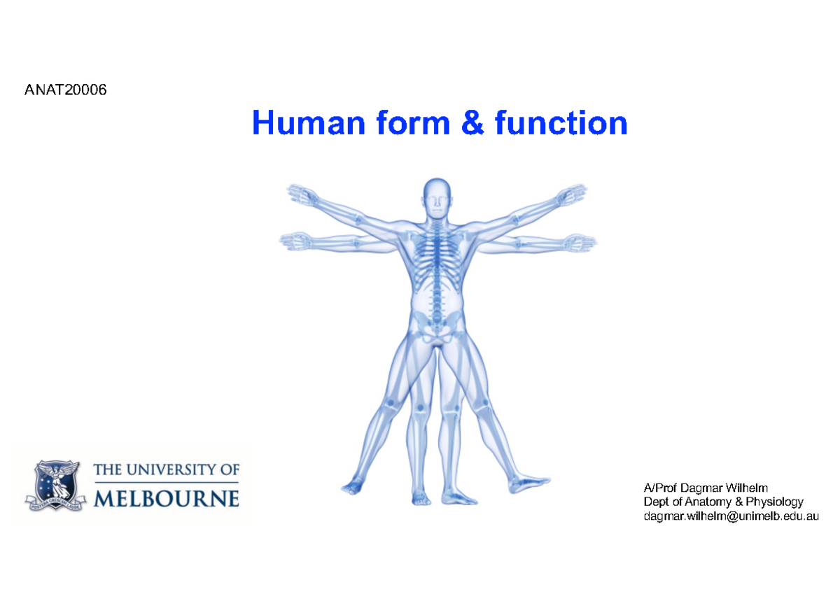 4 ANAT2000 6 Human form and function 2021 S1-for upload - Human form ...