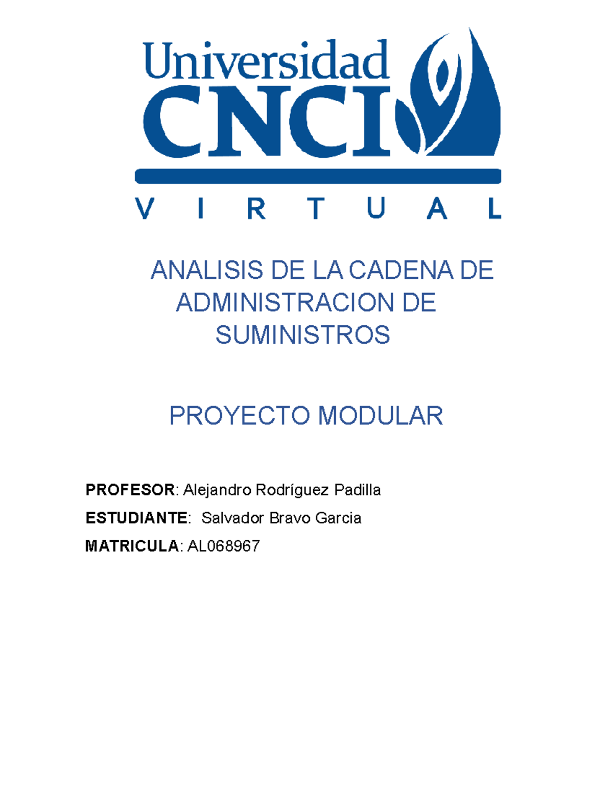 A. De La C De Suministros Proyecto Modular - ANALISIS DE LA CADENA DE ...