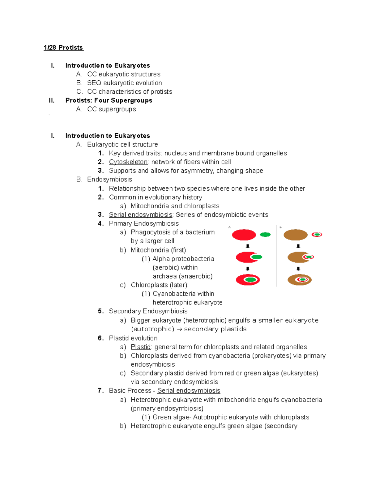 1 28 Protists - 1/28 Protists I. Introduction To Eukaryotes A. CC ...