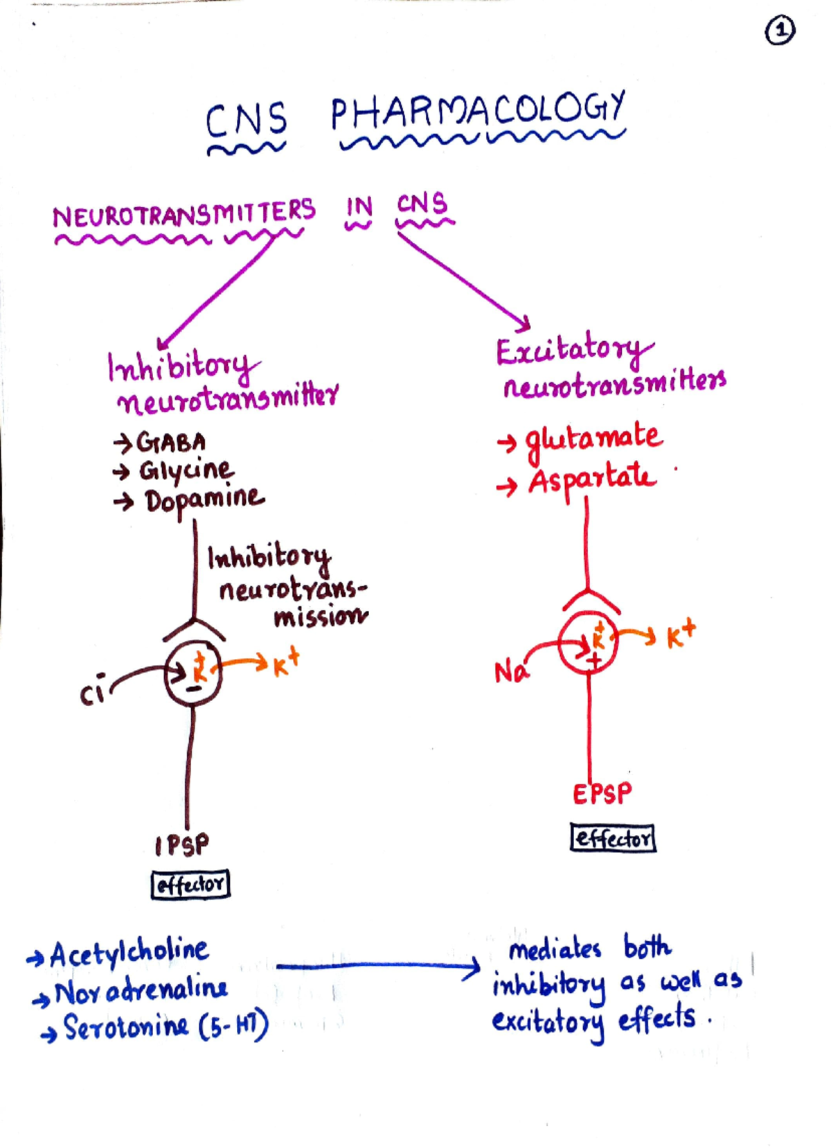 Cns 1 - Central Nervous System - CNS PHARMACOLOGY W NEUROTRANSMITTERS W ...