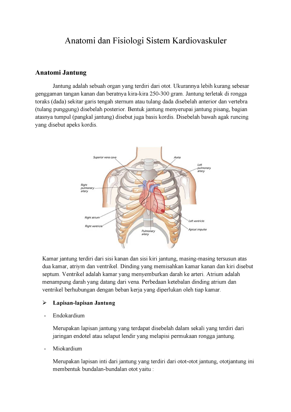 Pdf Anatomi Dan Fisiologi Sistem Kardiovaskuler Compress 1 2 Anatomi