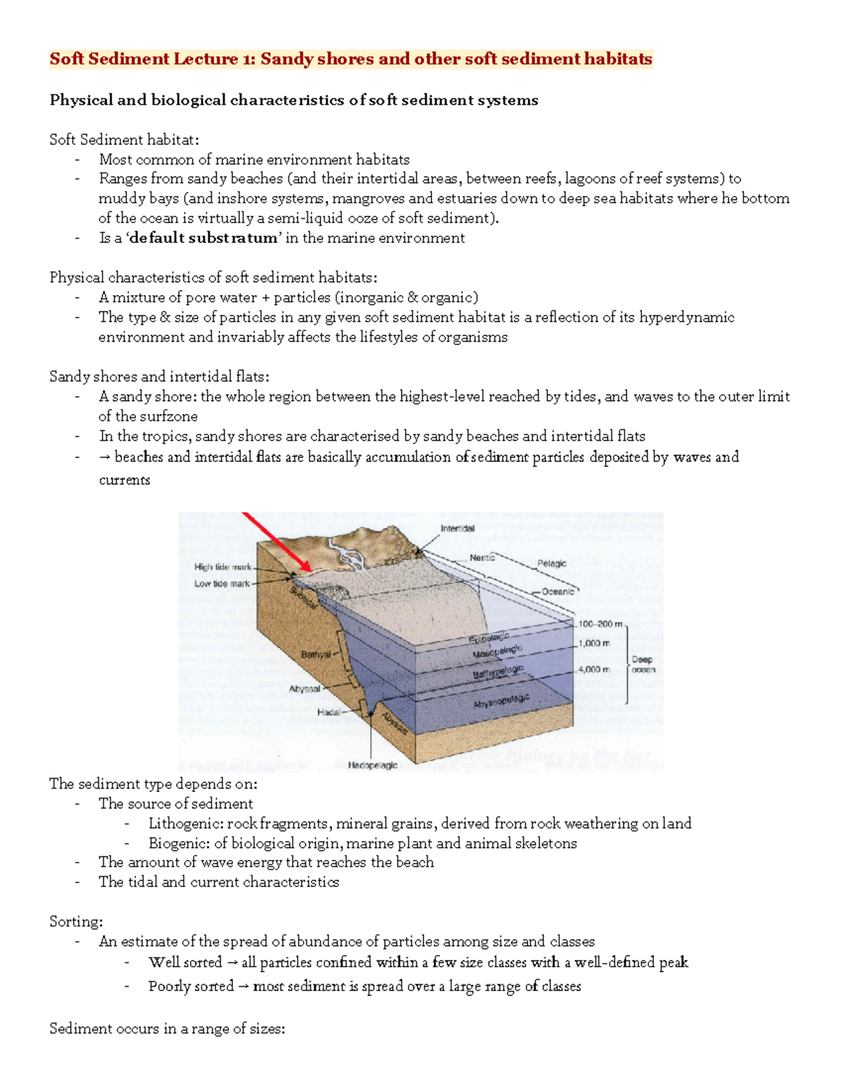 Lecture Notes MB - Weeks 1~8 of MB2050 - Soft Sediment Lecture 1: Sandy ...