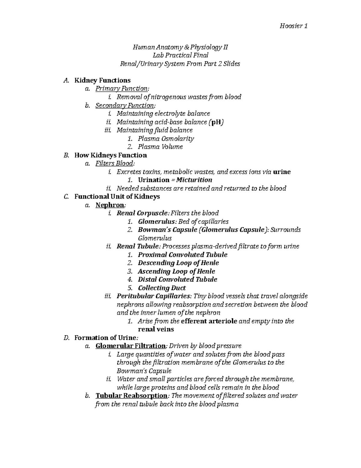 Renal Lab Review - Human Anatomy & Physiology II Lab Practical Final ...