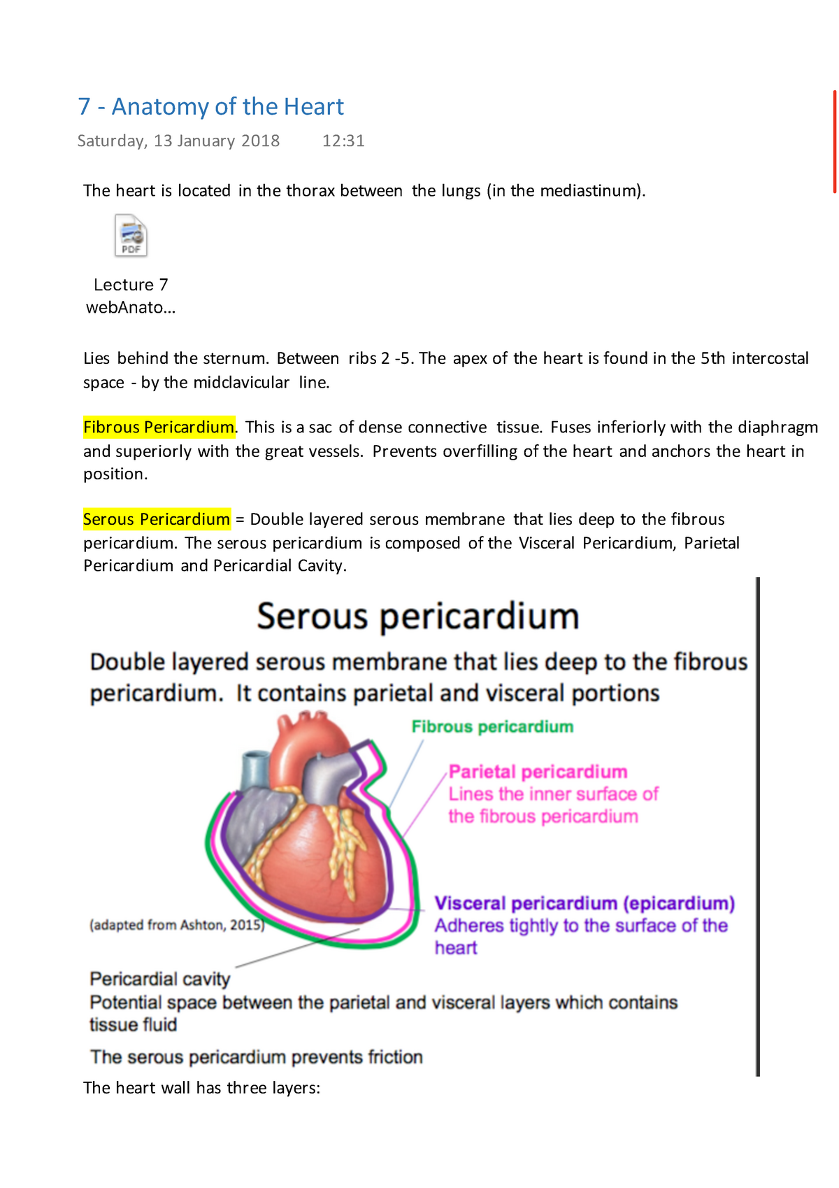 7 - Anatomy of the Heart - Lecture notes 7 - StuDocu