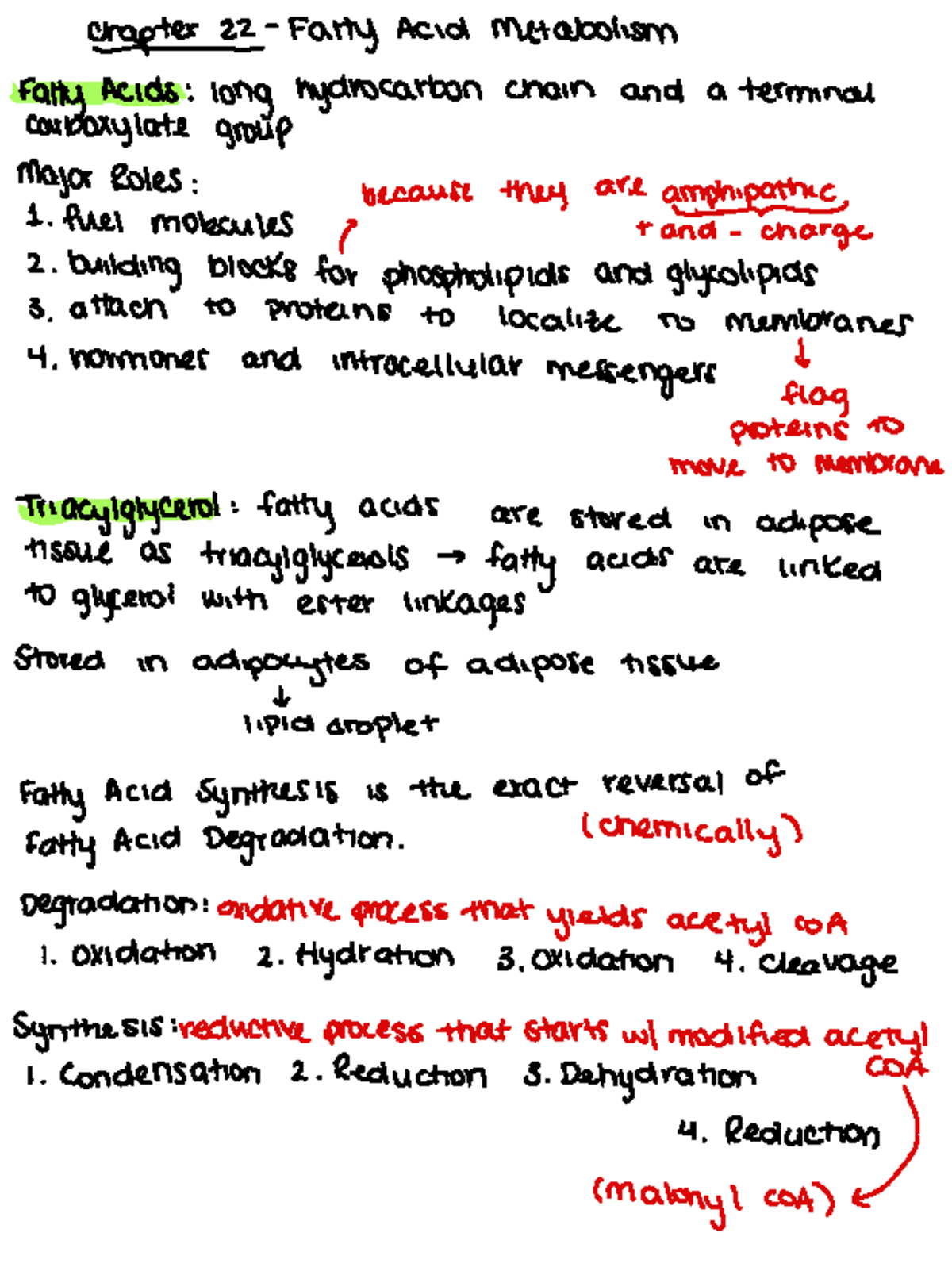 Bio Chem Ch22 - lecture notes Dr Marra - CH518 - Studocu