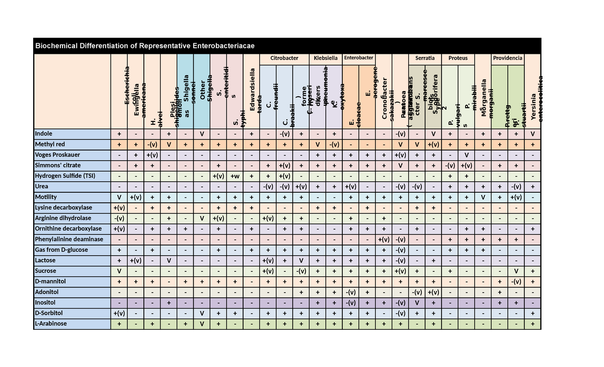 Biobaacte-table - table notes - Biochemical Differentiation of ...