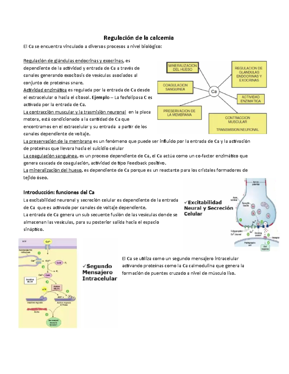 Regulación De La Calcemia - 1234 - Studocu