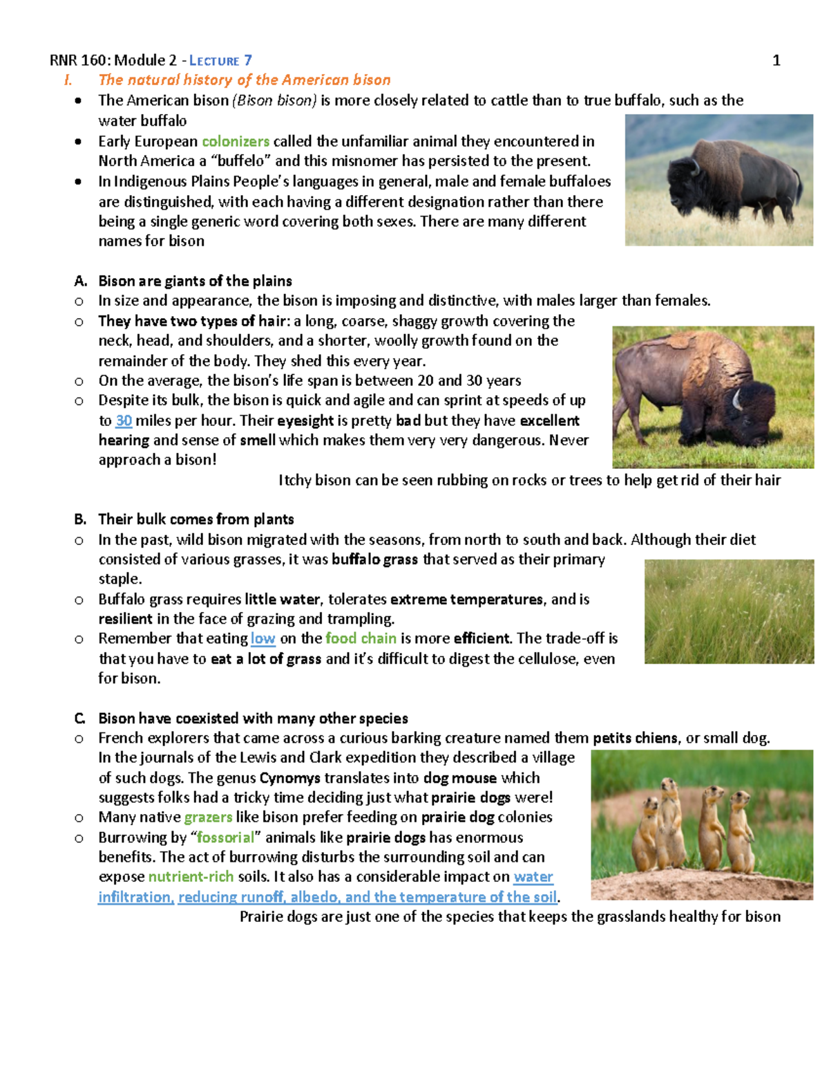 case study american bison answer key