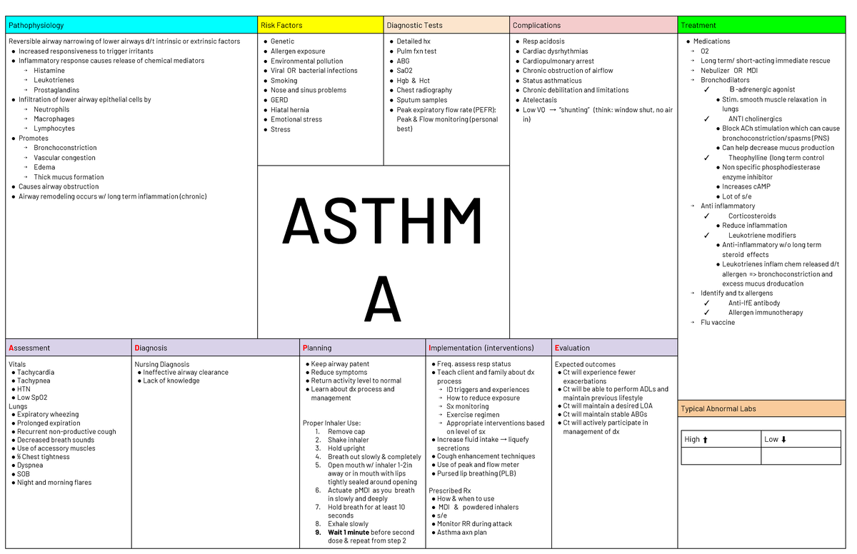 Asthma MedicalSurgical Nursing Pathophysiology Risk Factors Diagnostic Tests Studocu