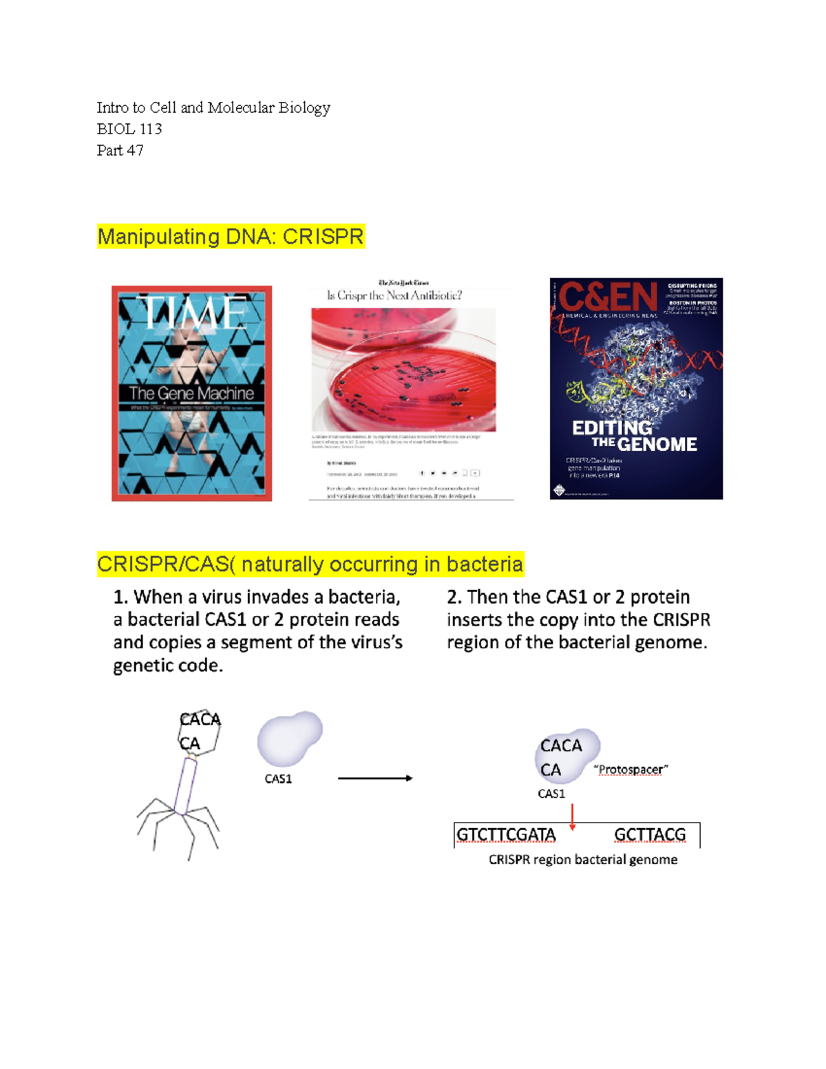 Intro To Cell And Molecular Bio 113 Lecture Notes Part 47 - Dr. Sarah ...