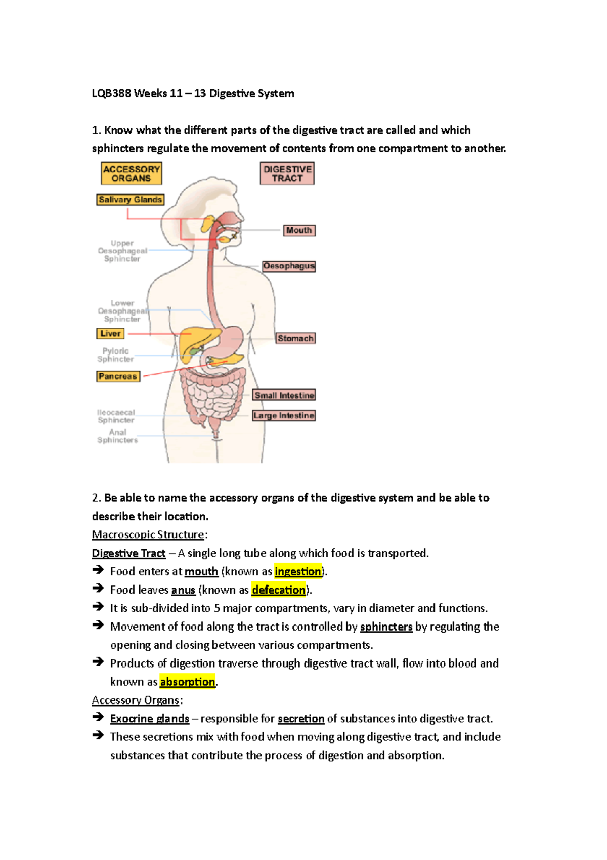 LQB388 Weeks 11 - 13 Digestive System Learning Objectives - LQB388 ...