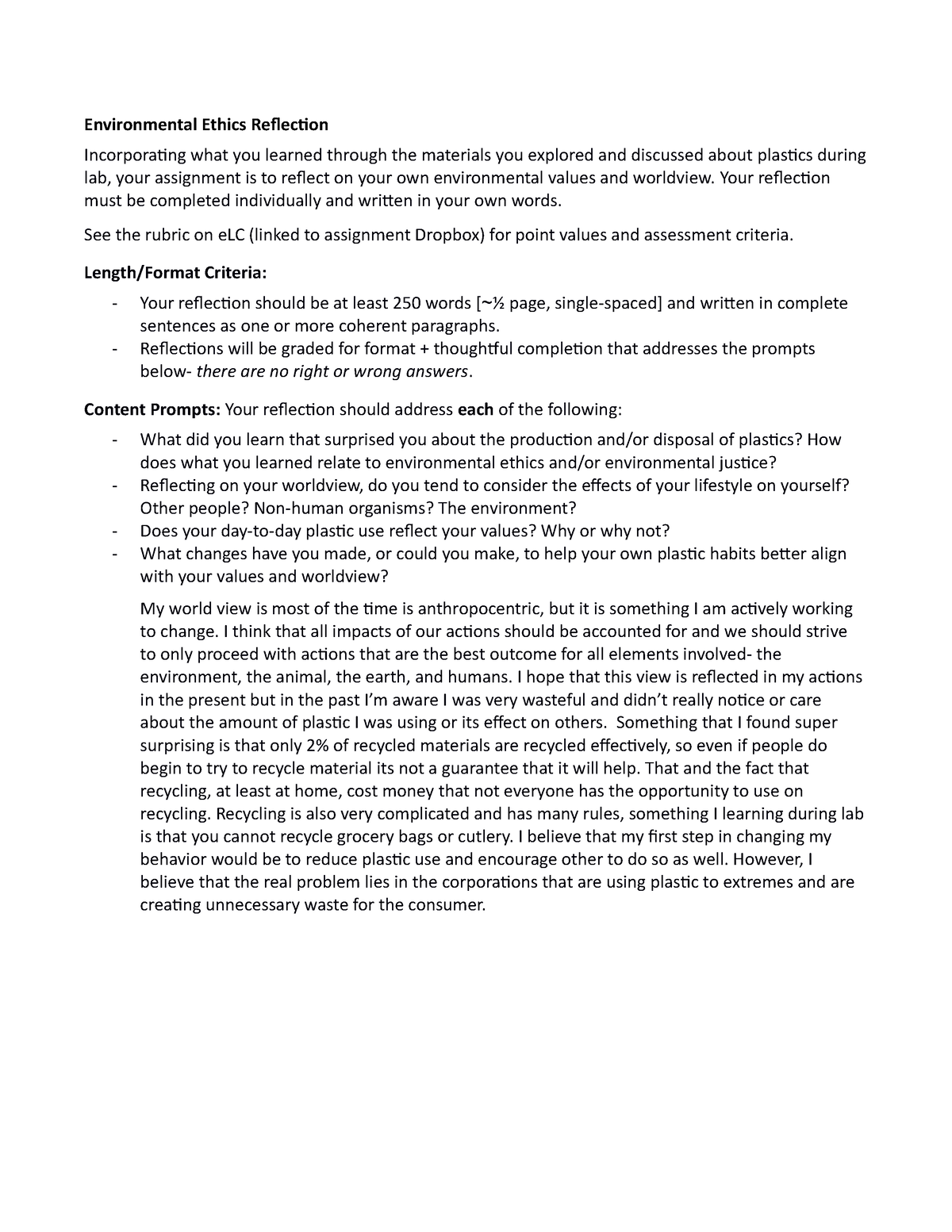 environmental ethics assignment pdf