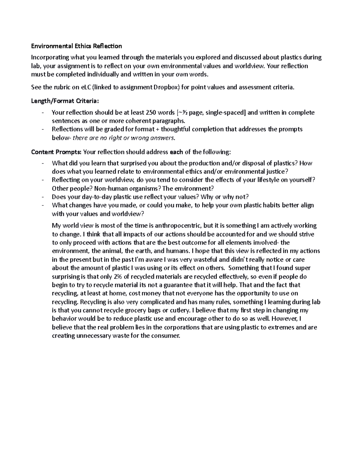 environmental ethics assignment pdf