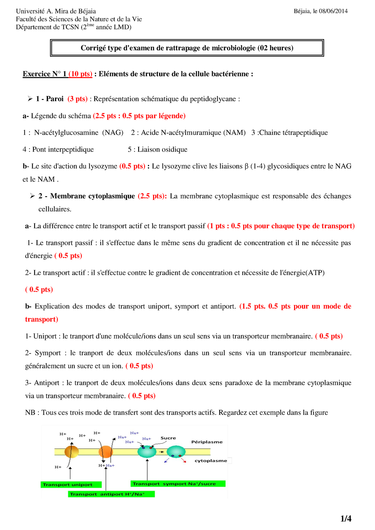 Solution-Examen 2 Microbiologie - Exercice N° 1 (10 Pts) : Eléments De ...