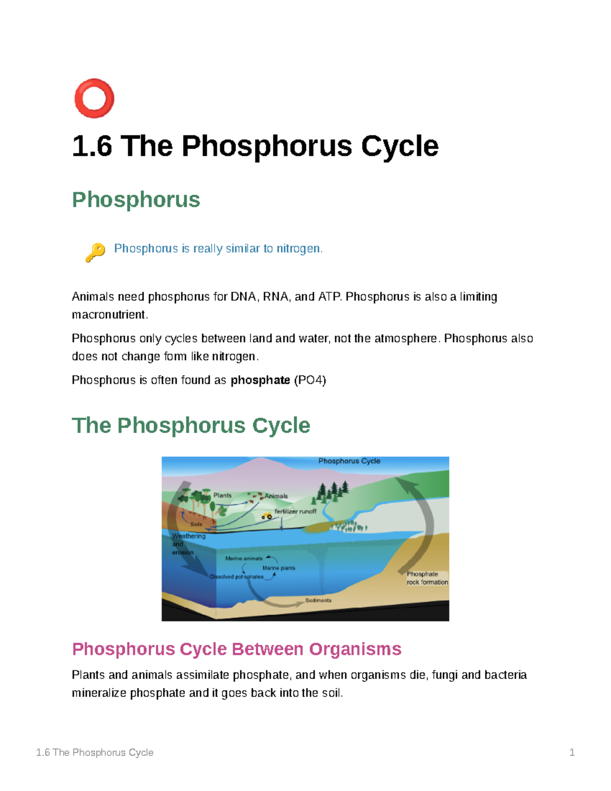 The Phosphorus Cycle - 1 The Phosphorus Cycle 1 ⭕ 1 The Phosphorus ...