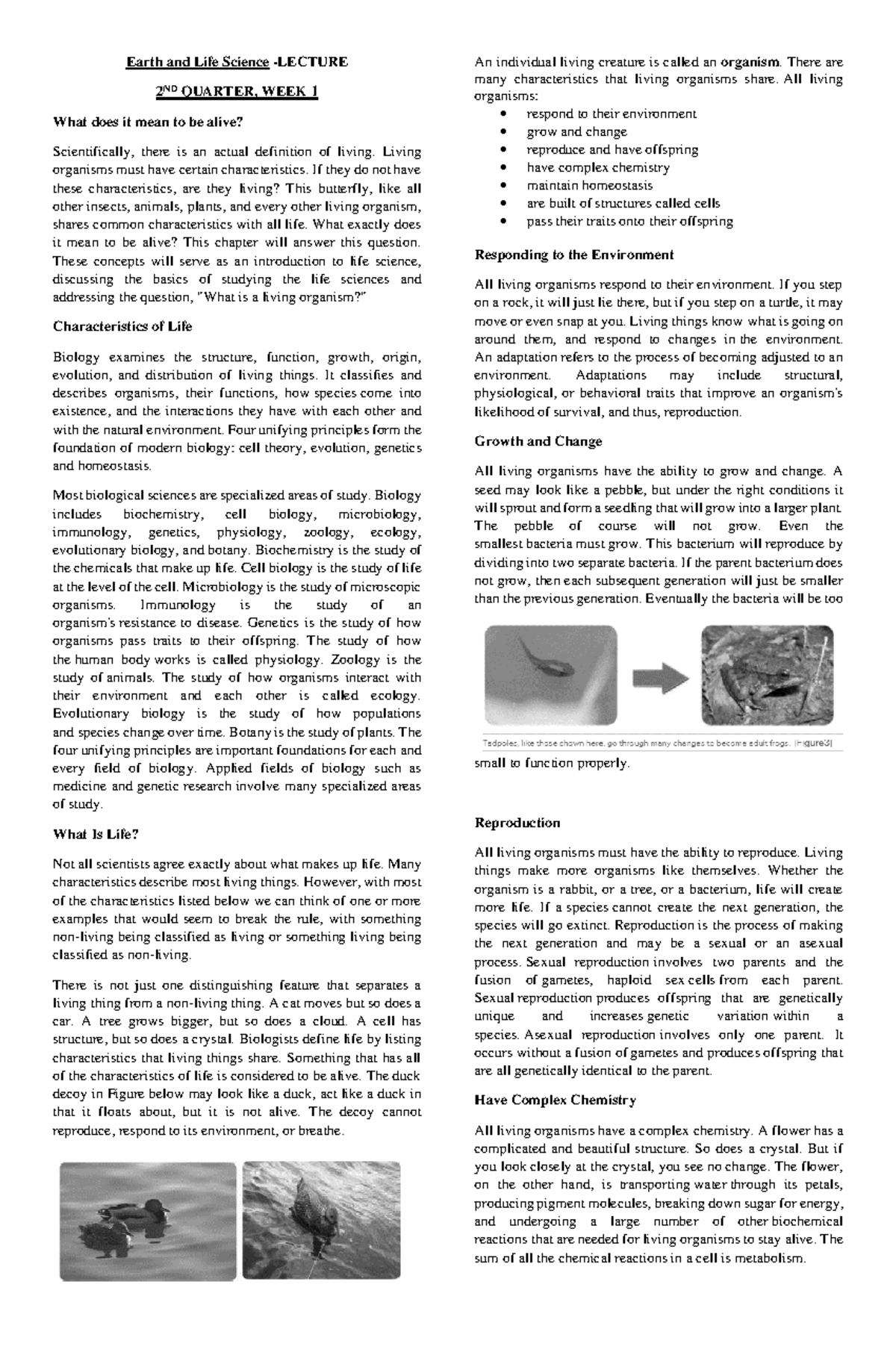 lectures-earth-and-life-science-2nd-grading-earth-and-life-science