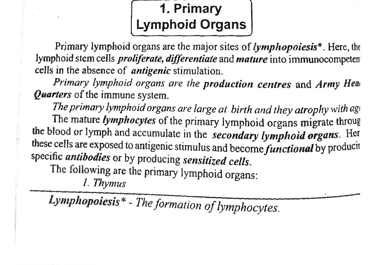 primary-lymphoid-organs-biotechnology-studocu