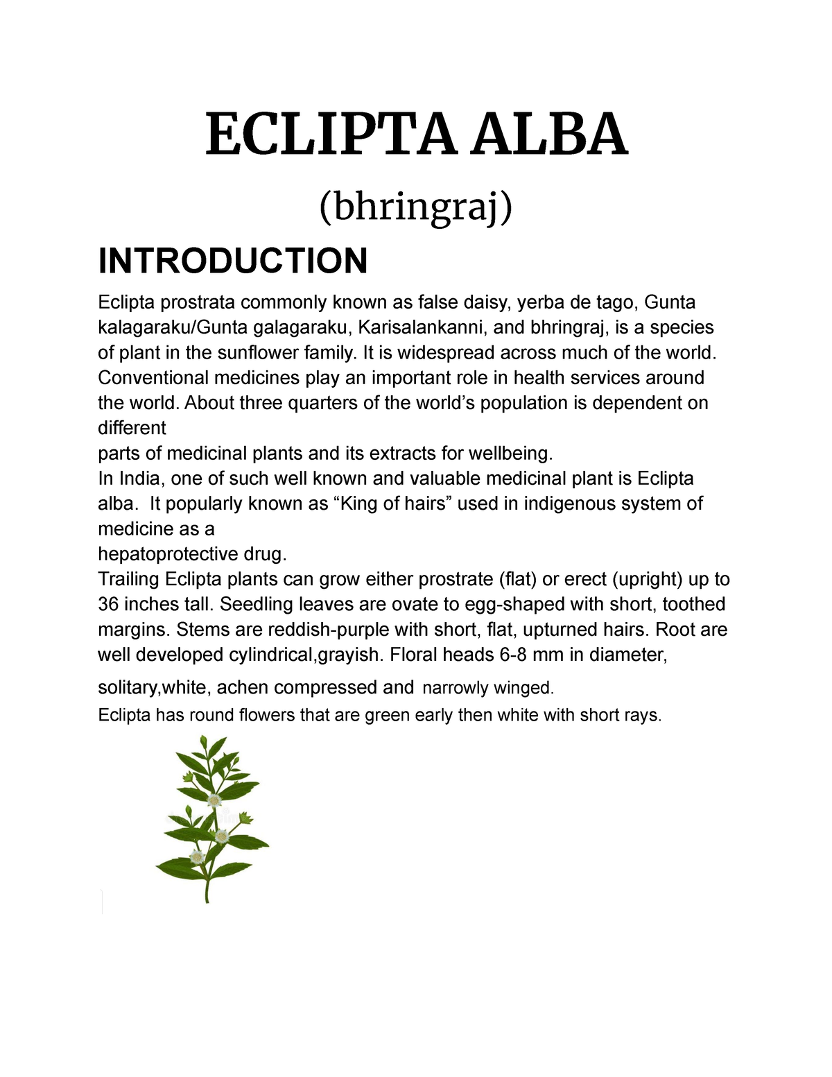 Untitled Document - ECLIPTA ALBA (bhringraj) INTRODUCTION Eclipta ...