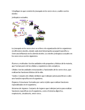 GUÍA EL Papel DEL SER Humano EN LA Creación - HERMANITAS DE LA ...