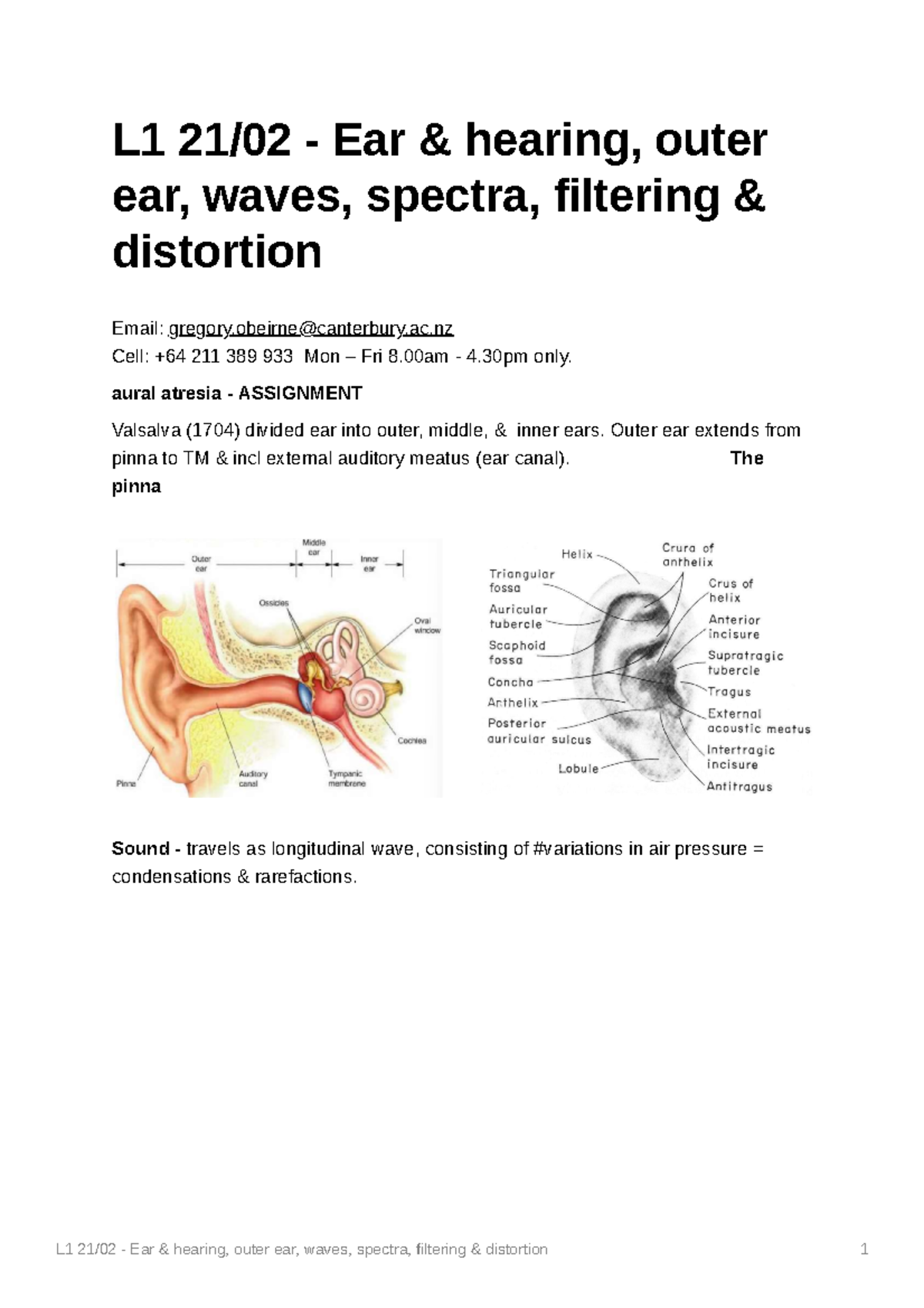 L1 Ear hearing outer ear waves spectra filtering distortion L1 21/02